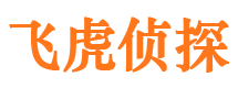 蒲江捉小三公司